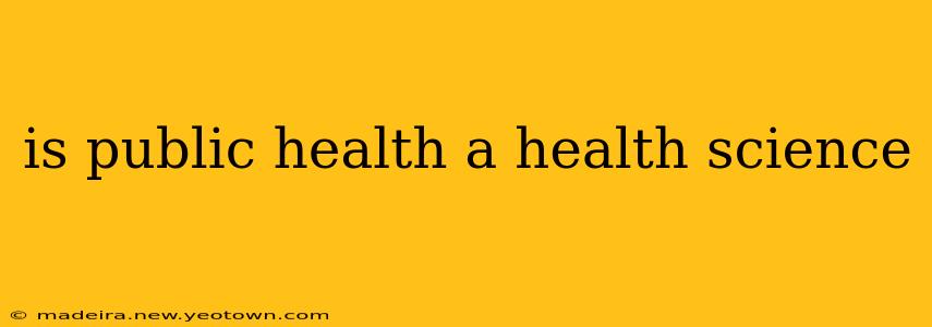 is public health a health science
