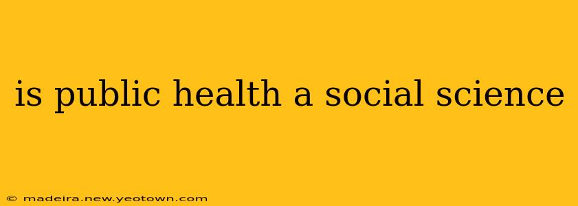 is public health a social science