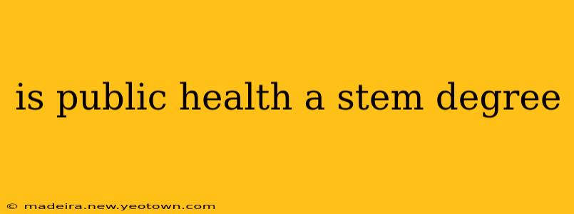 is public health a stem degree