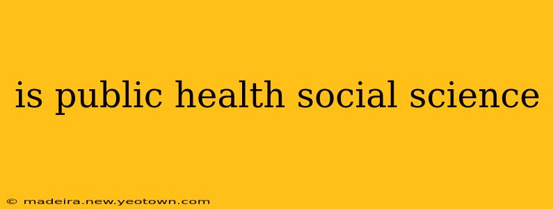 is public health social science