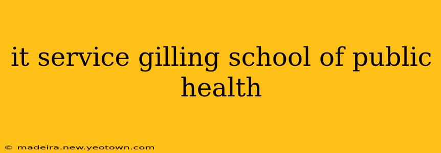 it service gilling school of public health