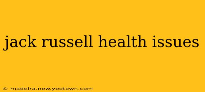 jack russell health issues