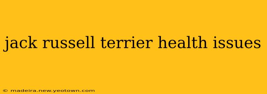 jack russell terrier health issues