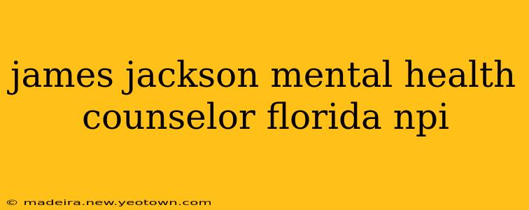 james jackson mental health counselor florida npi