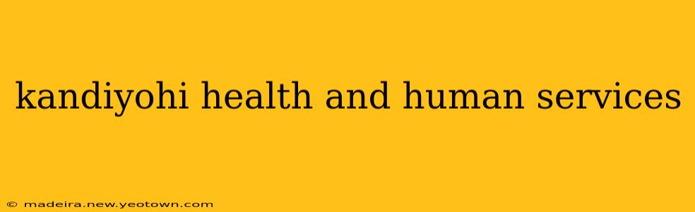 kandiyohi health and human services