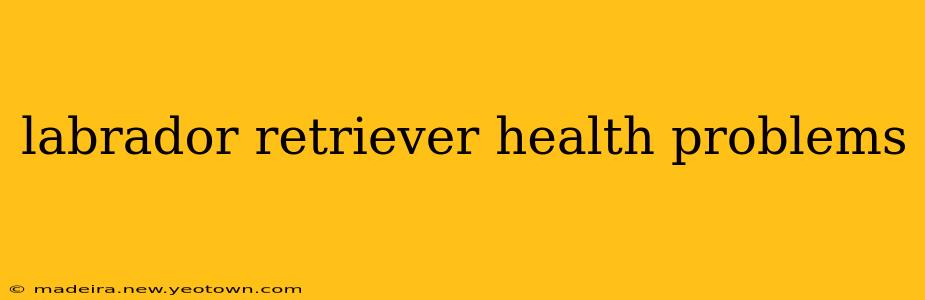 labrador retriever health problems