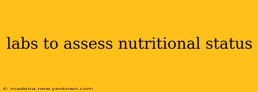 labs to assess nutritional status
