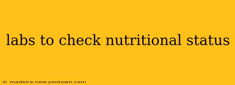 labs to check nutritional status