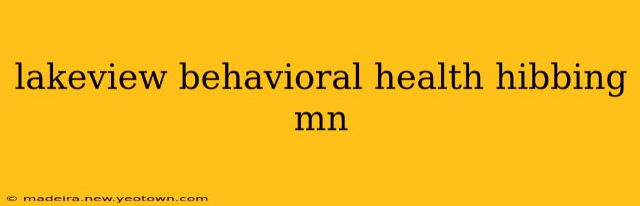 lakeview behavioral health hibbing mn