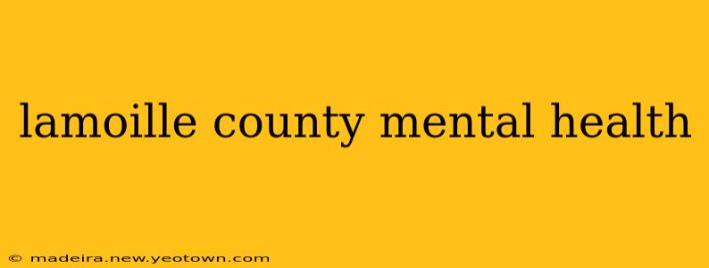 lamoille county mental health