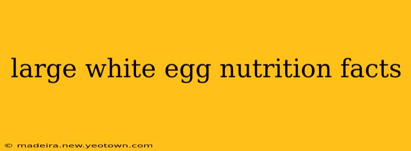 large white egg nutrition facts