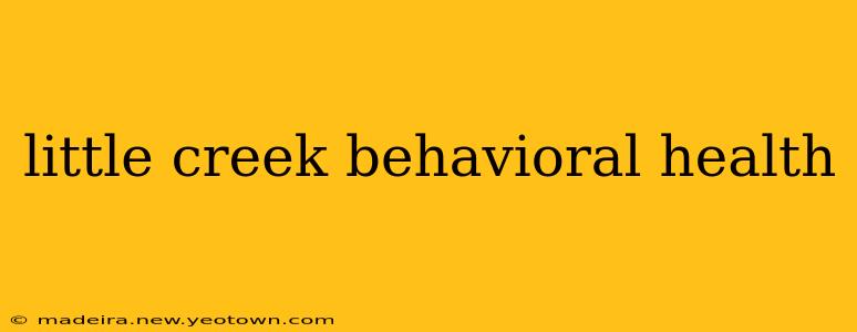 little creek behavioral health