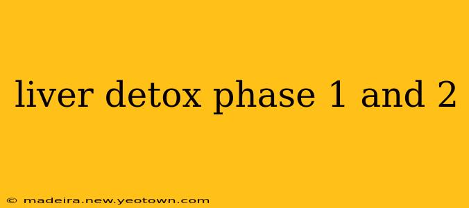 liver detox phase 1 and 2