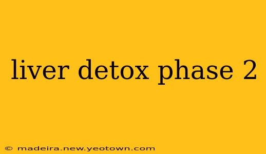 liver detox phase 2