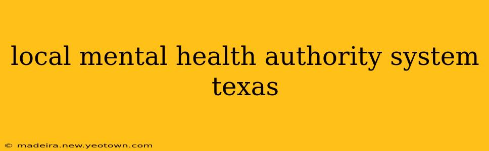 local mental health authority system texas