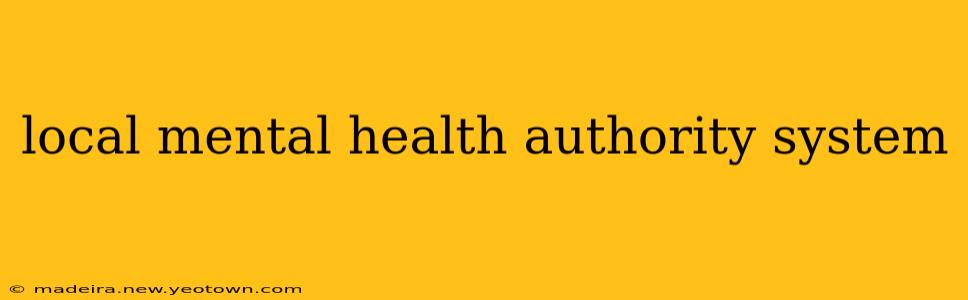 local mental health authority system