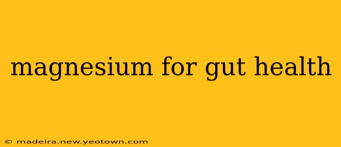 magnesium for gut health