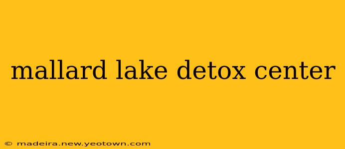 mallard lake detox center