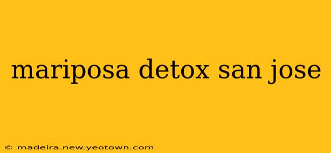 mariposa detox san jose