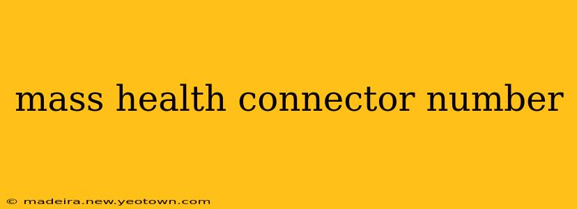 mass health connector number