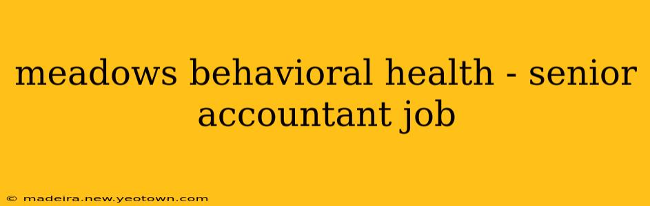 meadows behavioral health - senior accountant job