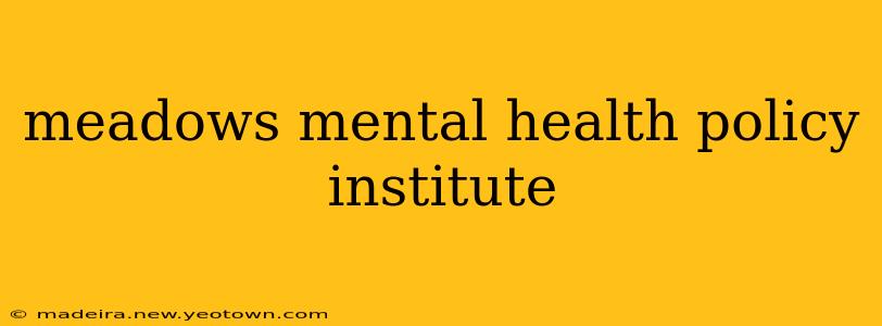 meadows mental health policy institute
