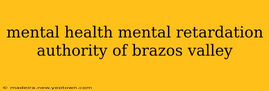 mental health mental retardation authority of brazos valley