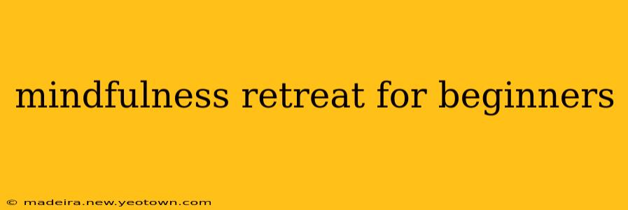 mindfulness retreat for beginners