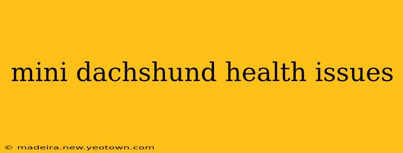 mini dachshund health issues