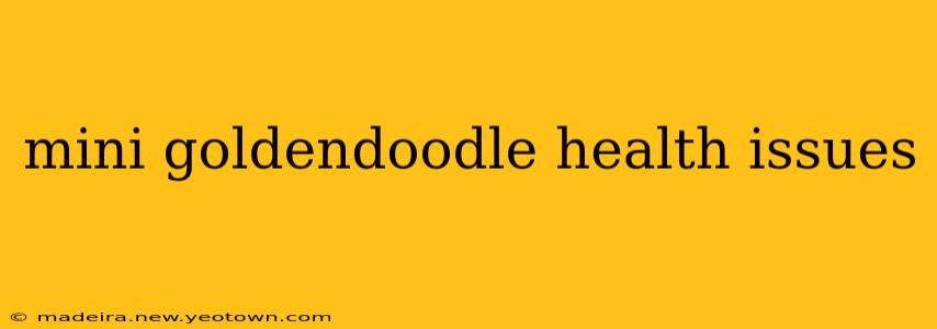 mini goldendoodle health issues