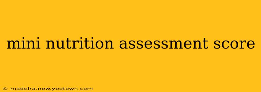 mini nutrition assessment score