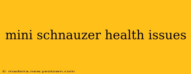 mini schnauzer health issues