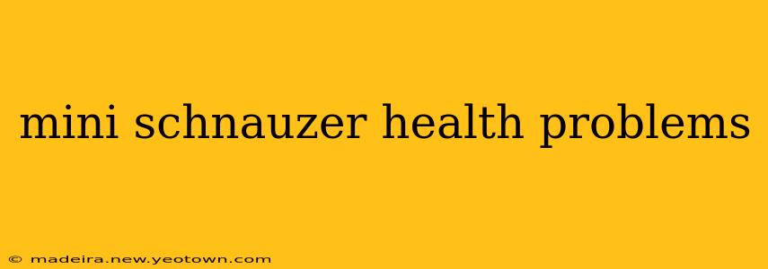 mini schnauzer health problems