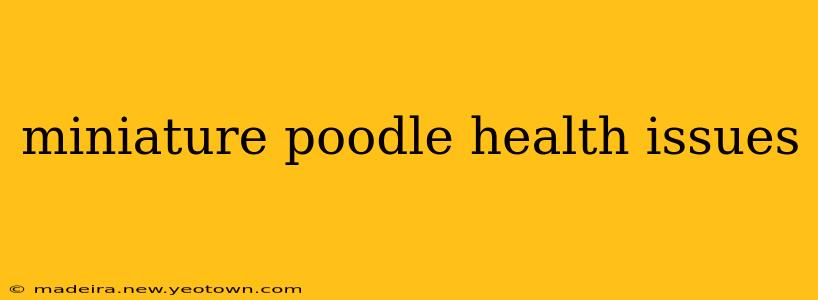 miniature poodle health issues