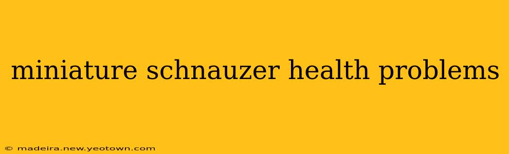 miniature schnauzer health problems