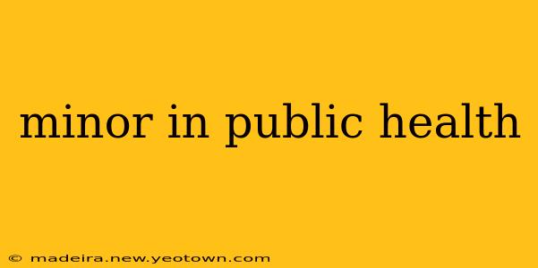 minor in public health