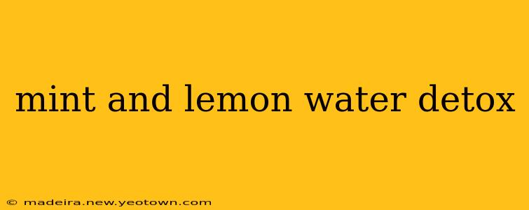 mint and lemon water detox