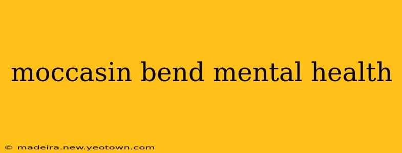 moccasin bend mental health