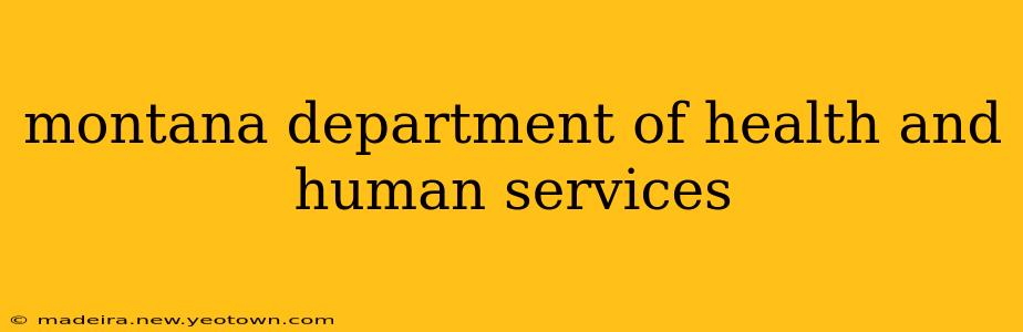 montana department of health and human services