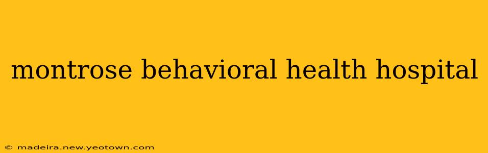 montrose behavioral health hospital