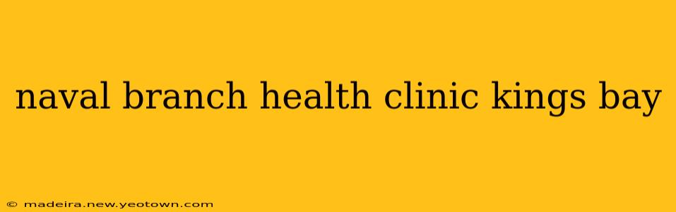 naval branch health clinic kings bay