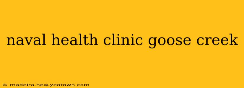 naval health clinic goose creek