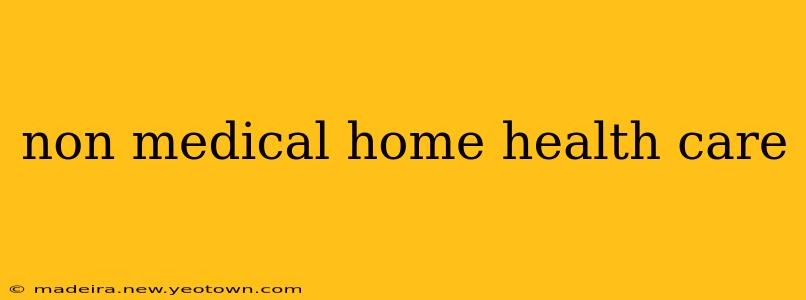 non medical home health care