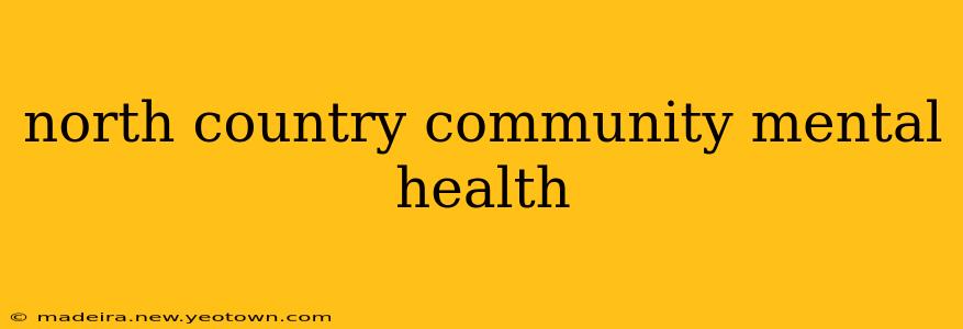 north country community mental health