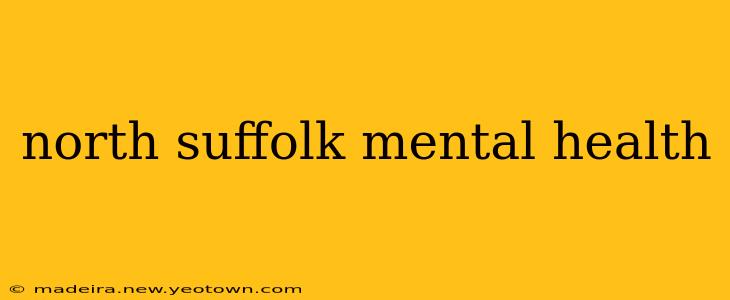 north suffolk mental health