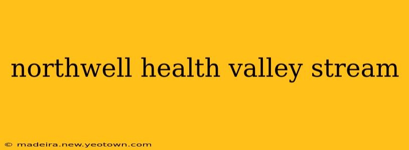 northwell health valley stream