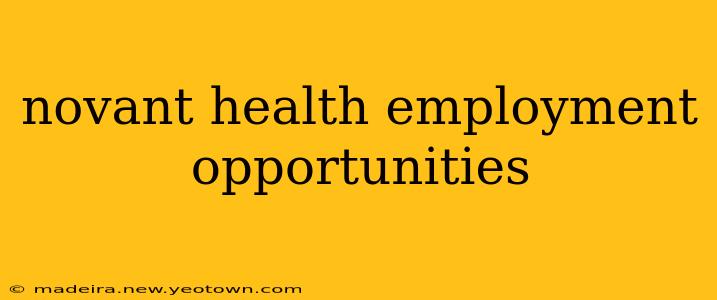novant health employment opportunities