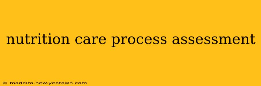 nutrition care process assessment
