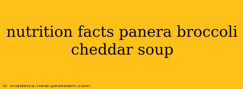 nutrition facts panera broccoli cheddar soup