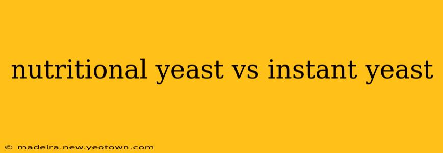 nutritional yeast vs instant yeast
